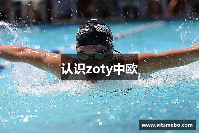认识zoty中欧
